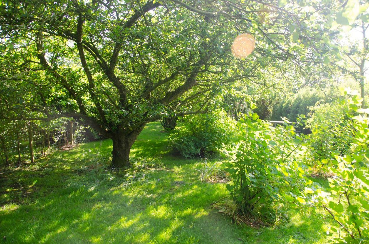 1 Hope Cottage Spilsby 외부 사진